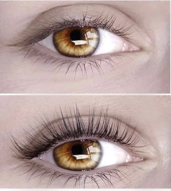 Best Lash lifts